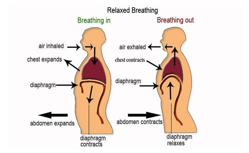 প্রসব পরবর্তী ব্যায়াম | সুস্থতায় কখন ও কীভাবে করবেন?