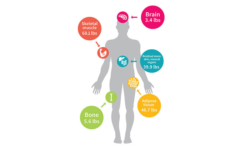 মেটাবোলিজম রেট বাড়াতে ৮টি কার্যকর খাবার কোনগুলো?